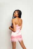Ostrich x Feather